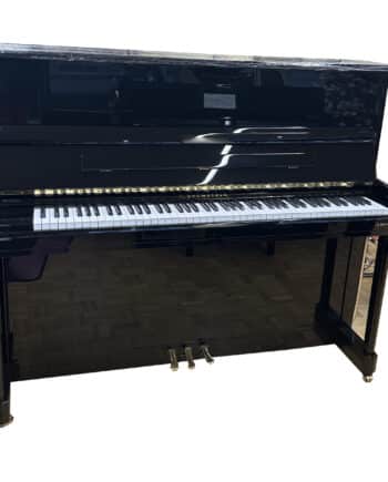 bechstein occasion 124